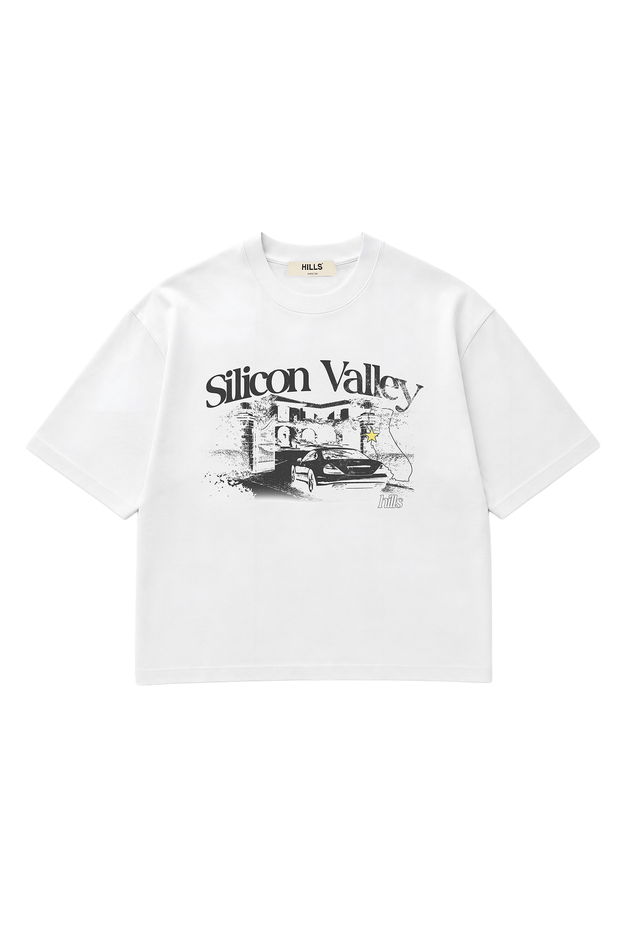 SILICON VALLEY TEE (white)