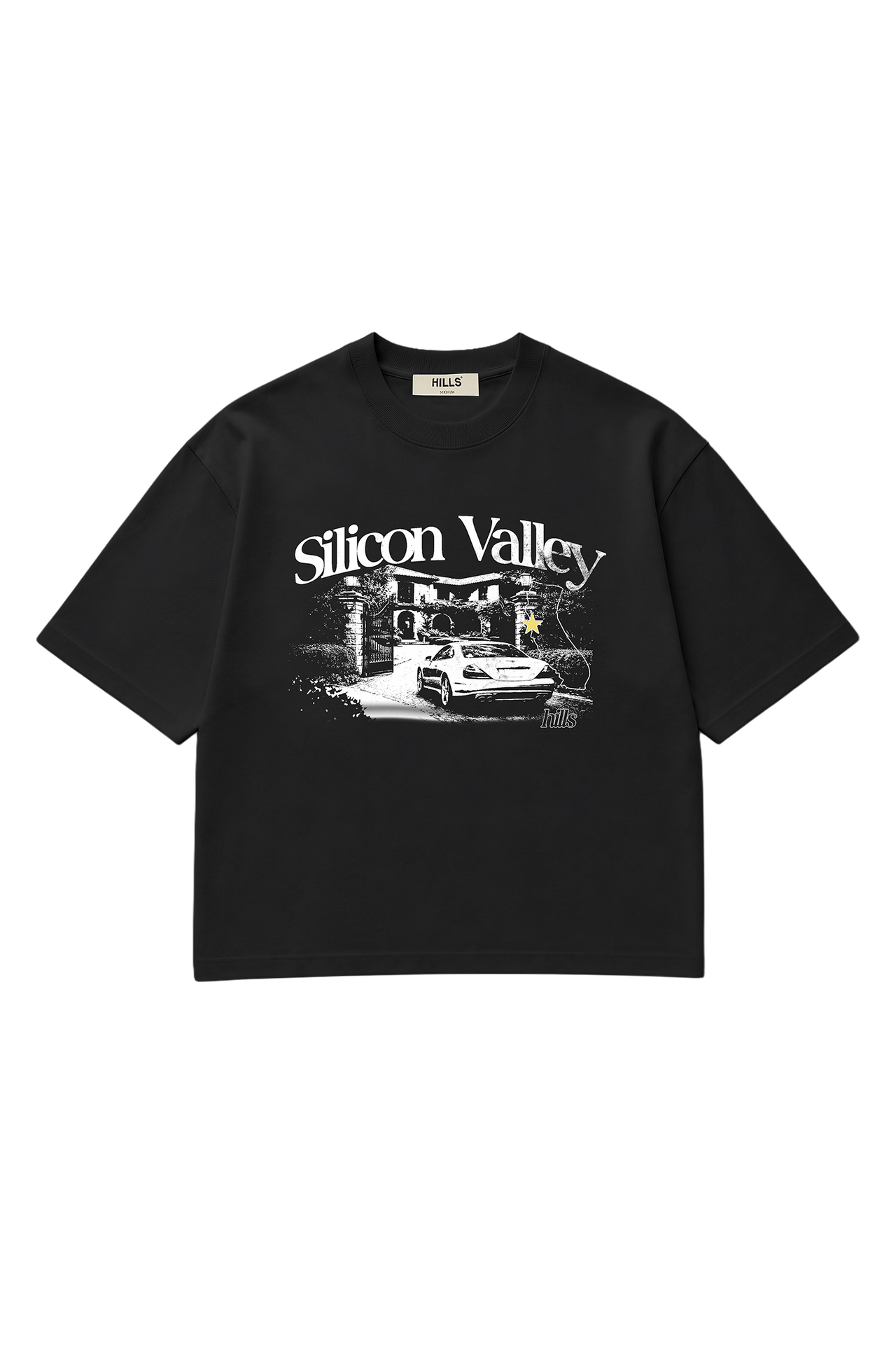 SILICON VALLEY TEE (black)
