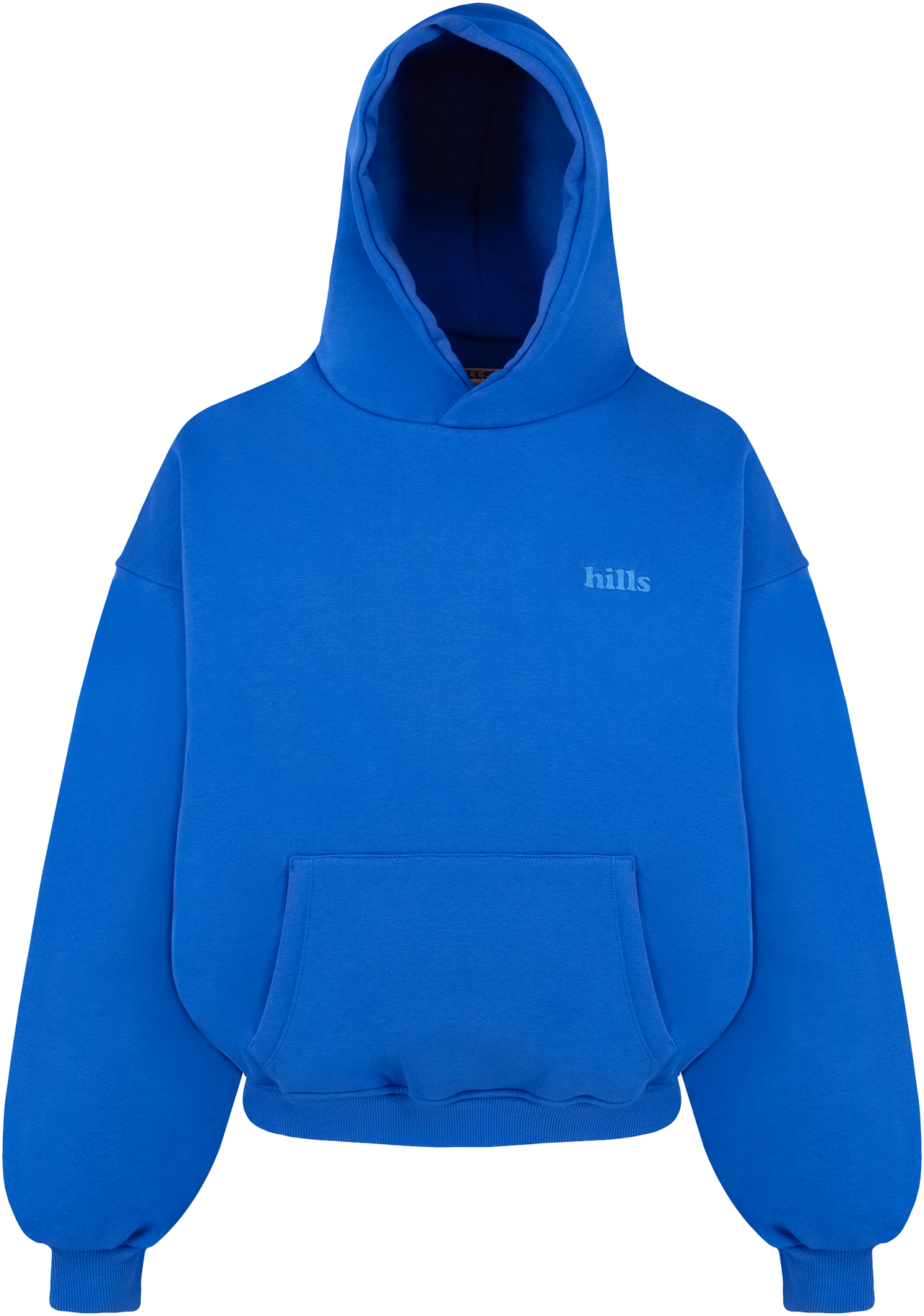 BASIC HOODIE (blue)