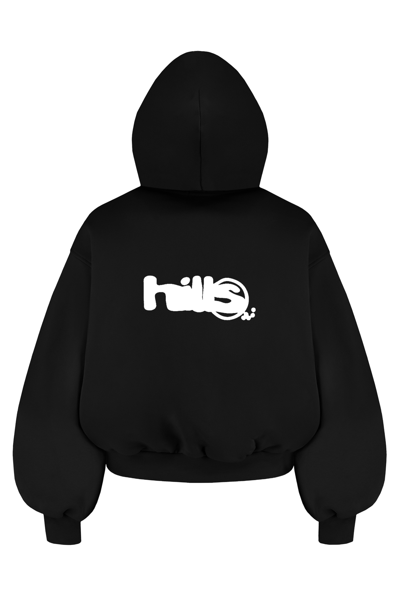 LOGO ZIP HOODIE (black)
